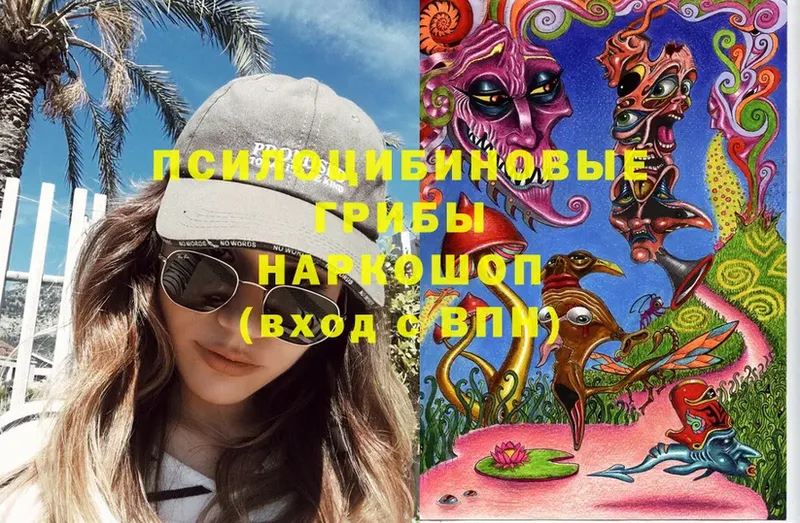 Псилоцибиновые грибы Psilocybe  Вичуга 